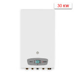 Կաթսա գազի կոնդեսացիոն երկկոնտուր, երկու ջերմափոխ, ծխատար BIASI Dina 30Kw